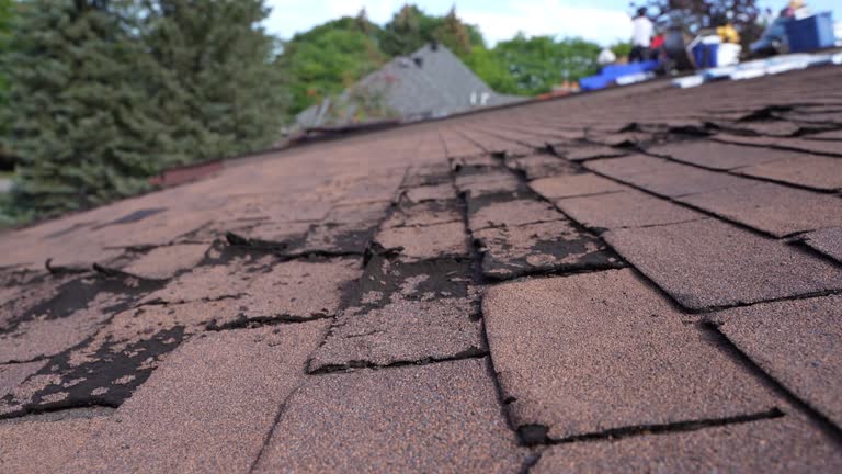 Professional Roofing in Quinnesec, MI