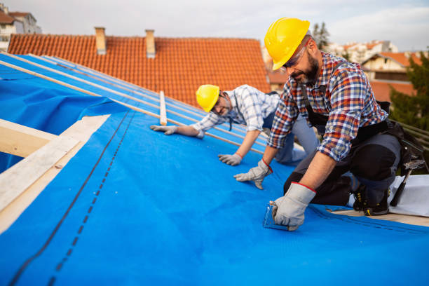Best Storm Damage Roof Repair  in Quinnesec, MI