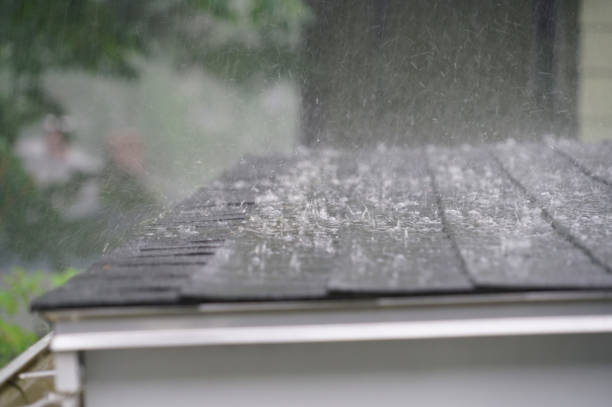 Best Roof Waterproofing  in Quinnesec, MI